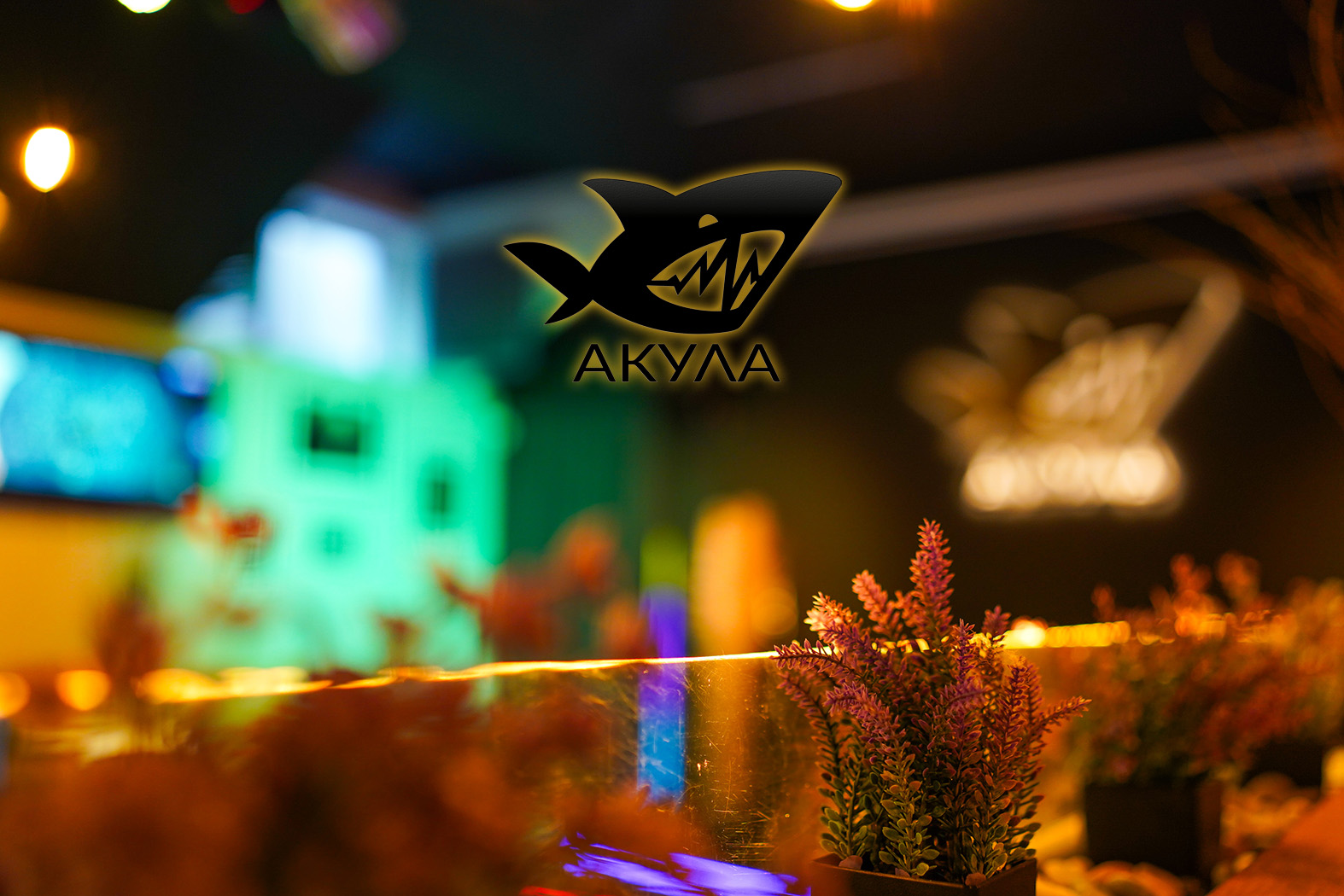 BAR01546_fon